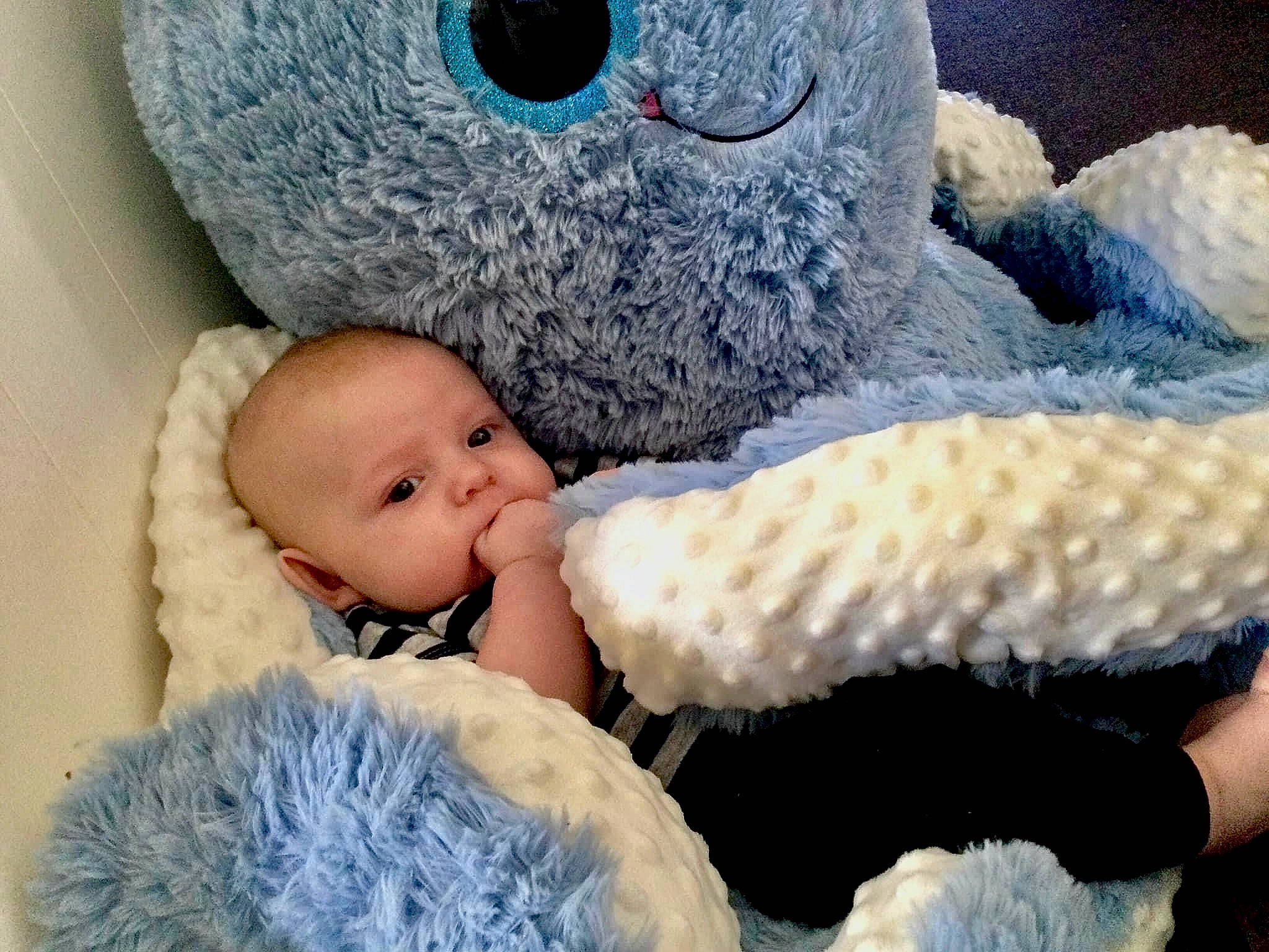 Maximus joined the competition — help win amazing prizes! baby, baby_sleeping, baby_toddler_clothing, blue, cap, comfort, eye, head, headgear, linens, mammal, nose, person, photograph, product, skin, textile, toy, vertebrate, white