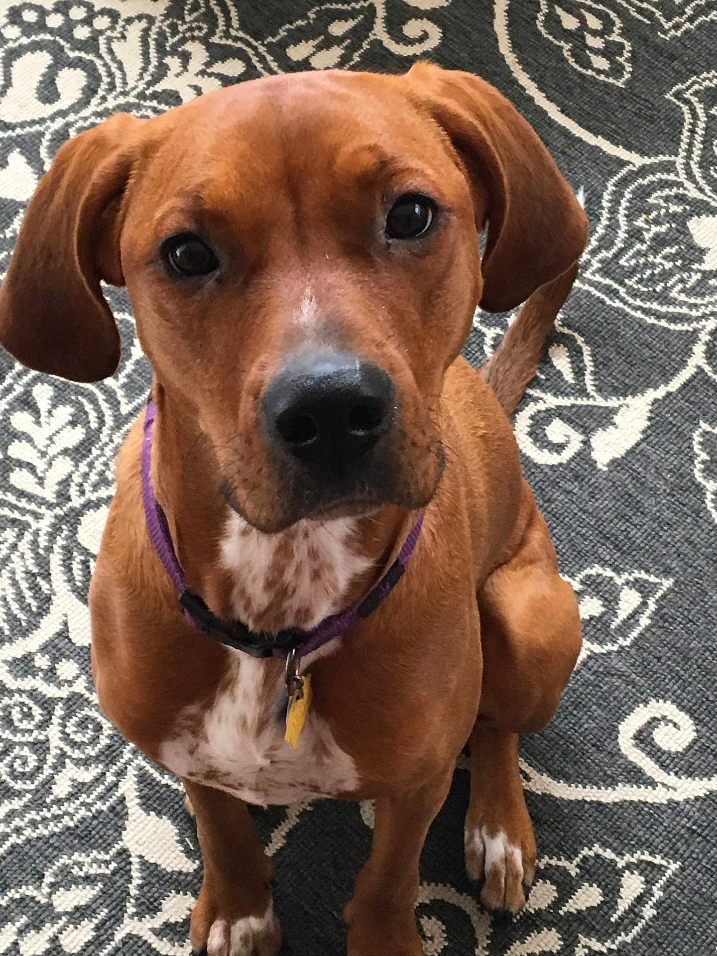 Ellie