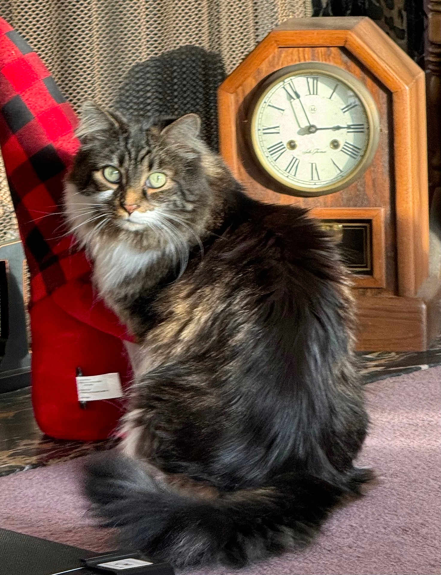 Max