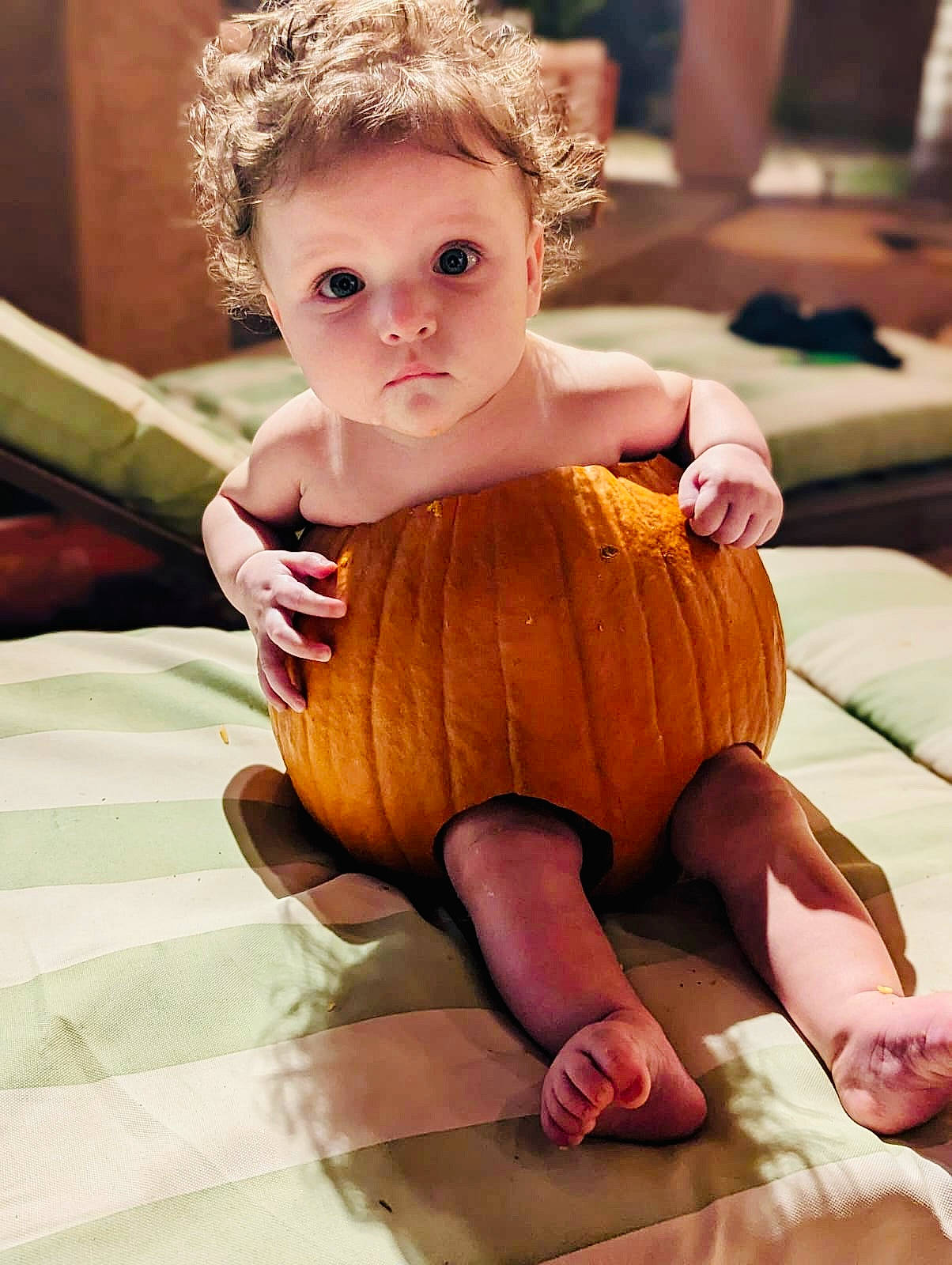 Lydia joined the competition — help win amazing prizes! blond, child, doll, fashion_accessory, fawn, foot, fur, human_leg, jewellery, joint, knee, peach, person, pink, sitting, skin, thigh, thumb, toy, wig