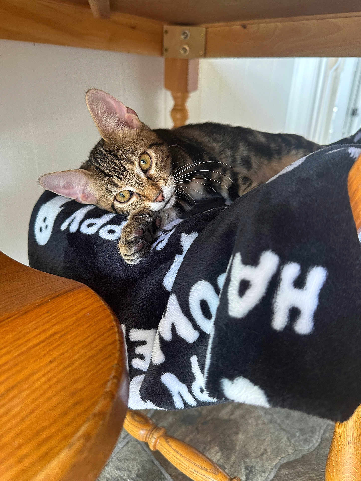 Simba