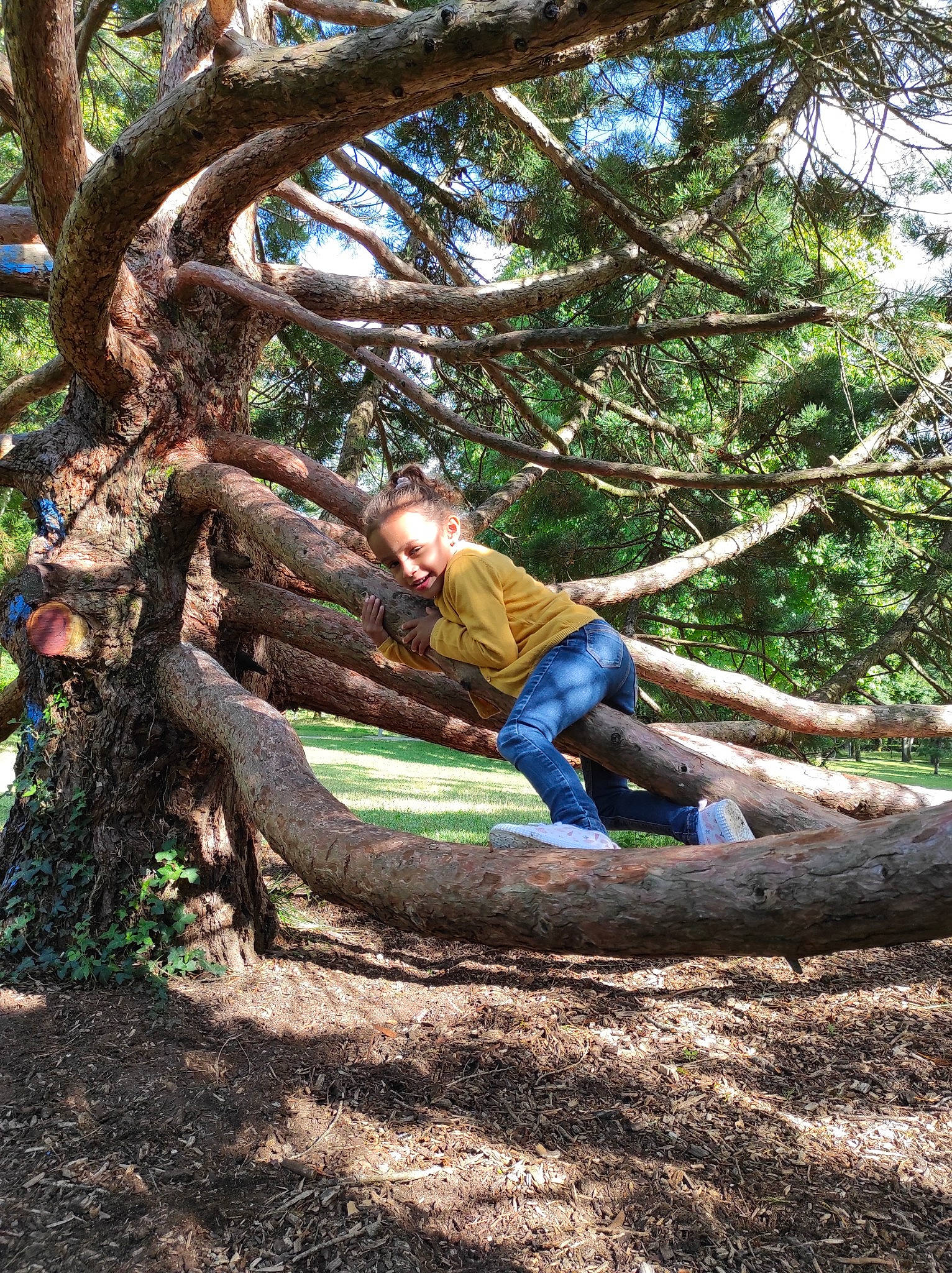Jayana a rejoint le concours — aidez-le/la à gagner de superbes lots ! botany, branch, deciduous, forest, grass, jeans, landscape, leaf, leisure, natural_landscape, people_in_nature, person, plant, soil, terrestrial_plant, tints_and_shades, tree, trunk, twig, wood