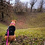 Maïa a rejoint le concours — aidez-le/la à gagner de superbes lots ! animal, autumn, brown_dog, canine, cloudy, crater, dog, grass, hill, landscape, leash, nature, outdoor, park, pet, quiet, scenery, sky, sweater, tree