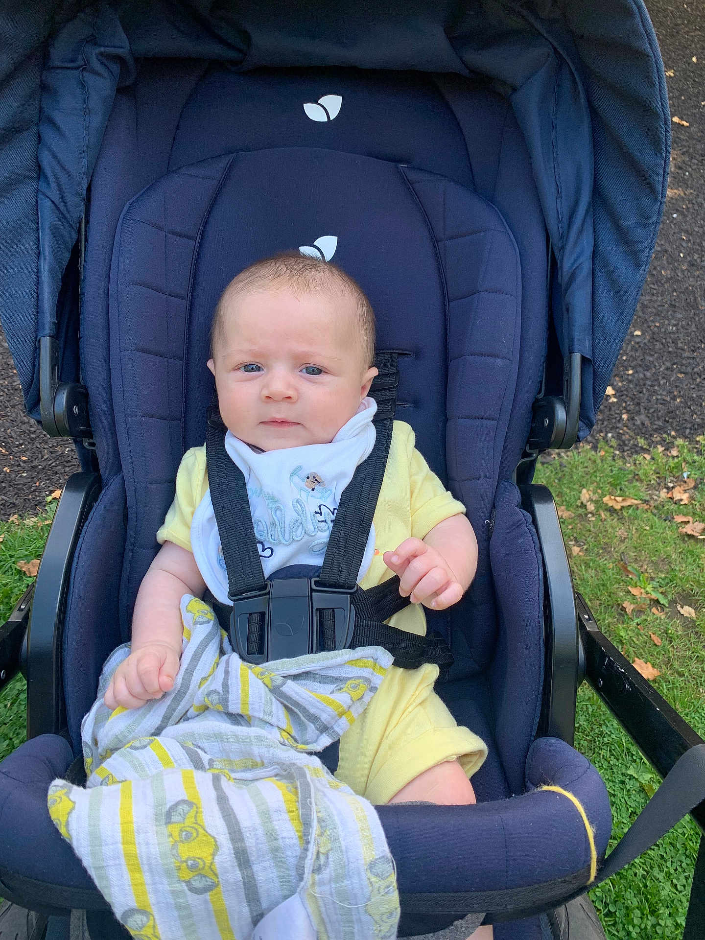 Reggie is registered to the contest to win money with this photo: baby, stroller, outdoor, grass, blanket, yellow_clothing, bib, face, person, infant, baby_boy, blue_stroller, hand, seat_belt, nature, daylight, expression, child, curious, sitting