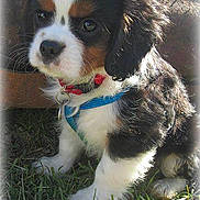 Charly a rejoint le concours — aidez-le/la à gagner de superbes lots !