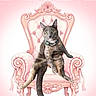 animal, armchair, cat, centered_subject, collar, composite_image, funny_pose, furniture, gray_cat, illustration, indoors, ornate, pastel_background, pet, pink, portrait, royal, sitting, throne, wide_eyed