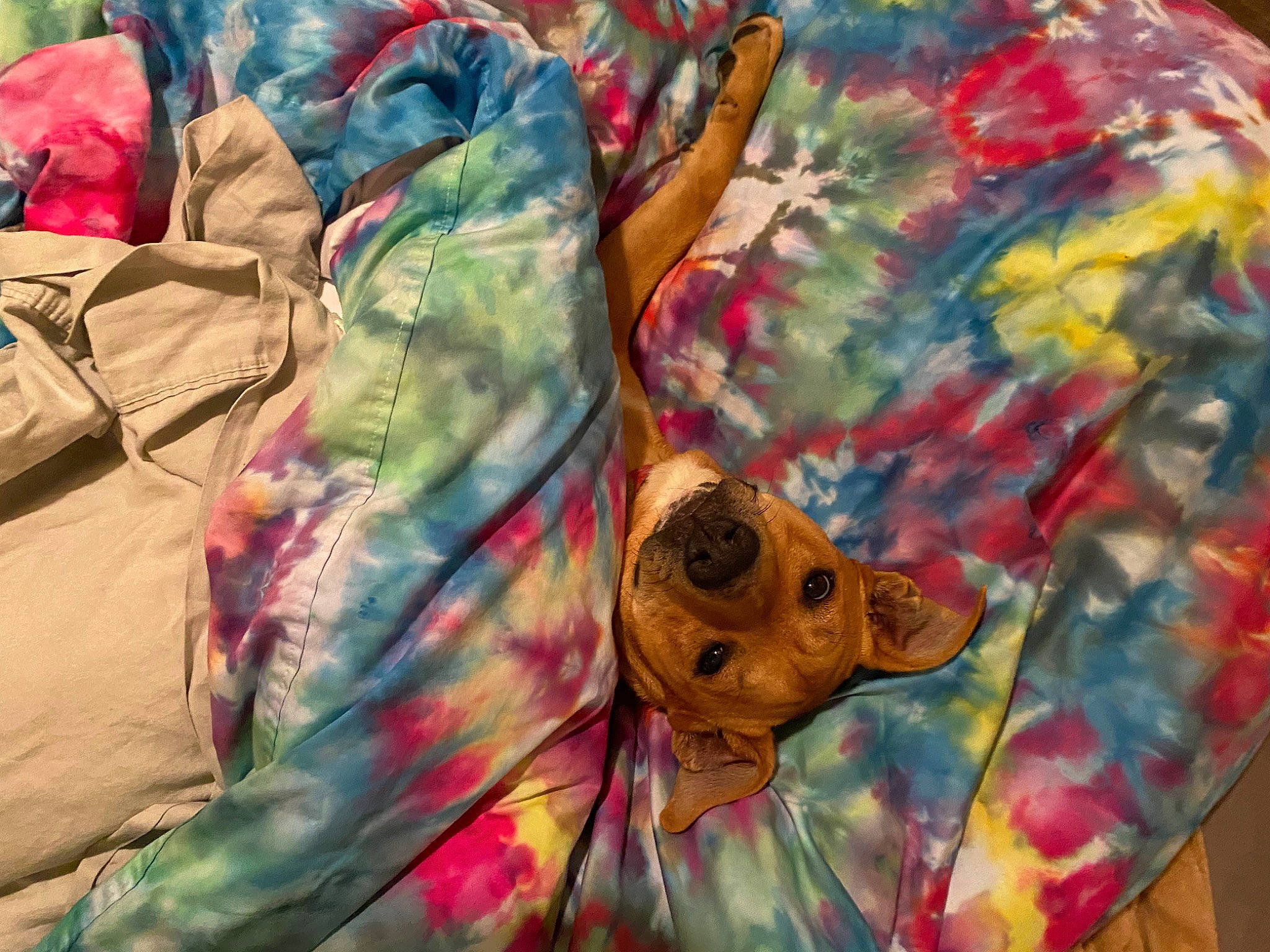 Tucker joined the competition — help win amazing prizes! art, artist, drawing, fictional_character, illustration, linens, magenta, military_camouflage, military_uniform, mural, paint, painting, pattern, pink, sleeve, sportswear, t_shirt, textile, visual_arts, watercolor_paint