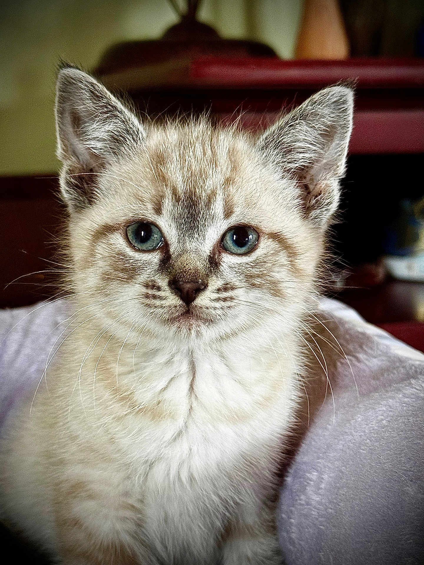 Lucy