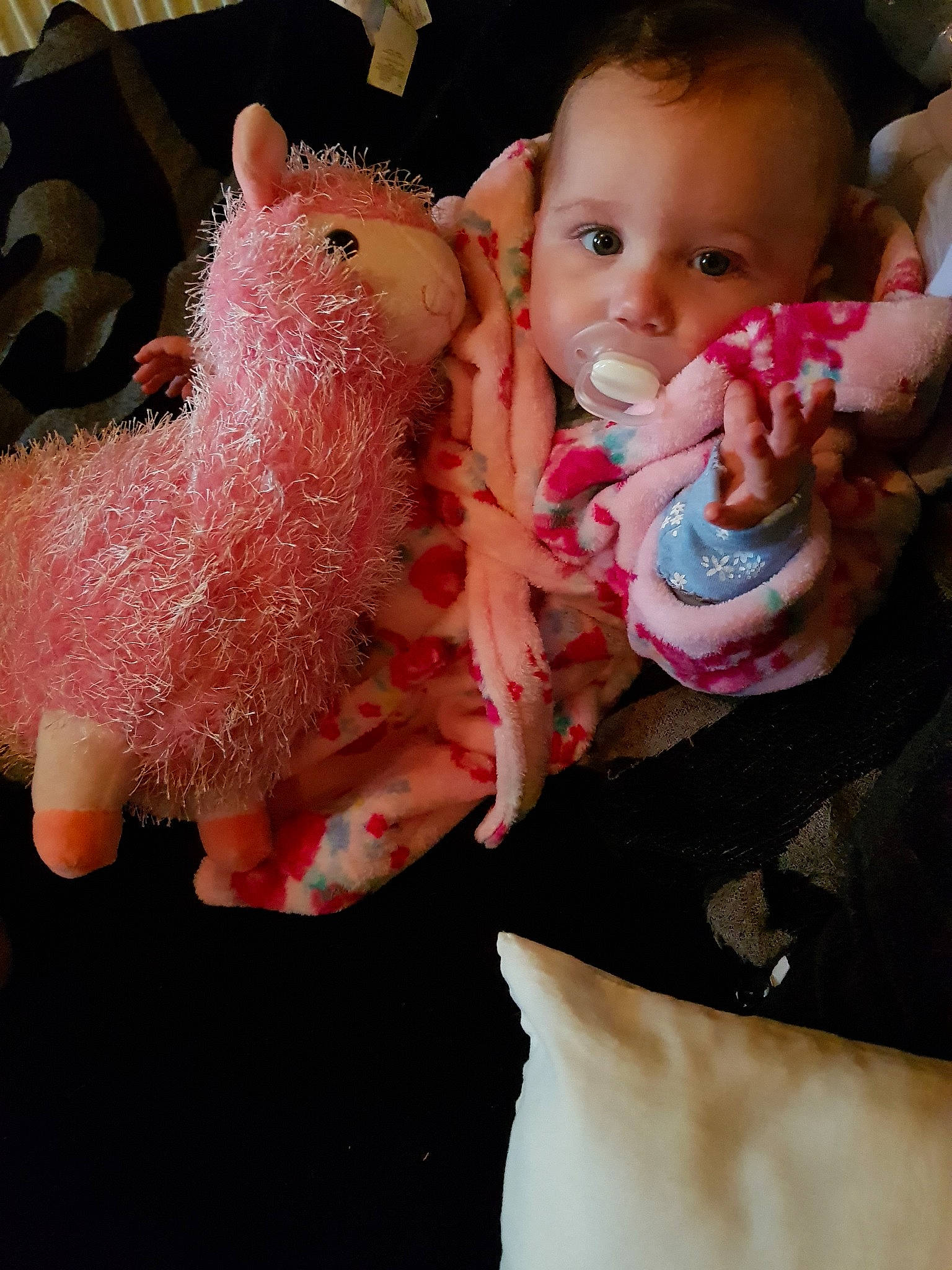 Holly-victoria is registered to the contest to win money with this photo: baby, baby_products, cheek, child, ear, eye, fur, joy, lip, person, pink, skin, stuffed_toy, textile, toddler, toy