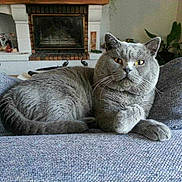 Cezane a rejoint le concours — aidez-le/la à gagner de superbes lots !