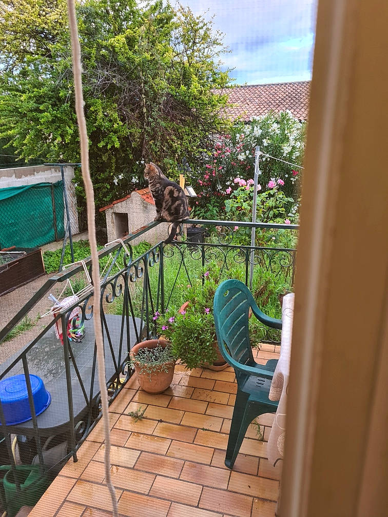 Picka participe au concours pour gagner de l'argent avec cette photo : building, chair, cloud, cottage, flower, flowerpot, grass, house, houseplant, landscape, leisure, outdoor_furniture, plant, porch, property, real_estate, sky, tree, window, wood