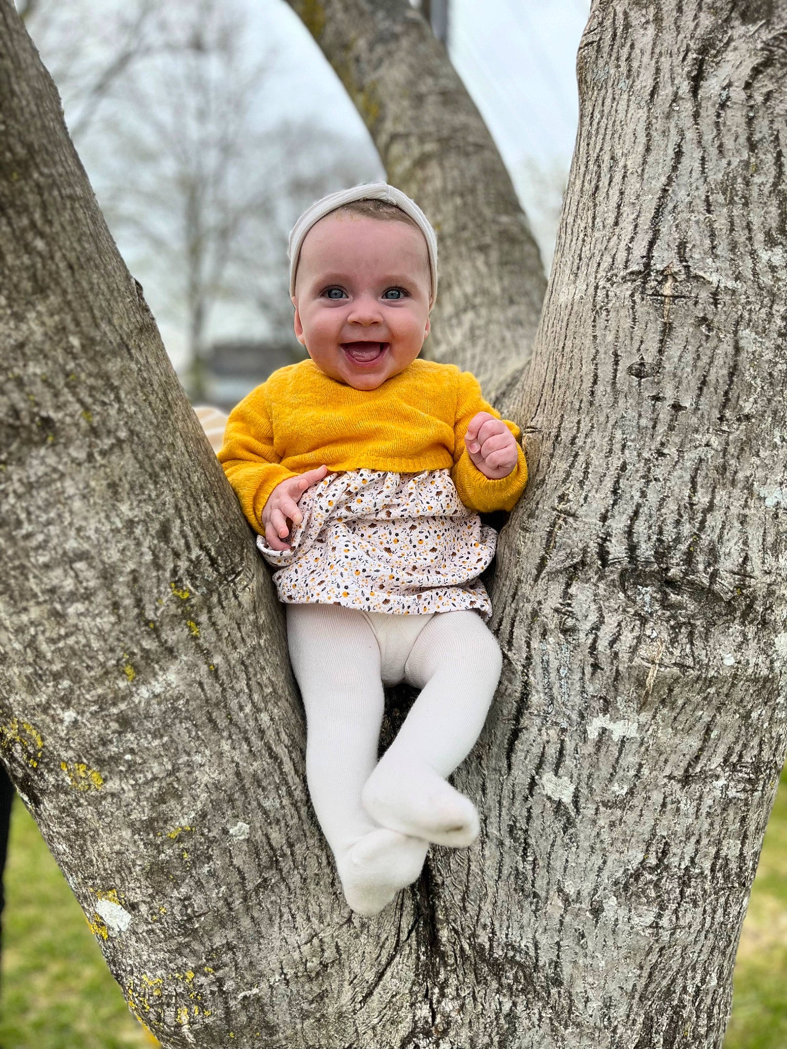 Mélia a rejoint le concours — aidez-le/la à gagner de superbes lots ! baby, baby_toddler_clothing, branch, eye, flash_photography, grass, happy, head, human_body, joy, people_in_nature, person, plant, skin, smile, standing, toddler, tree, trunk, wood