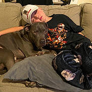 Kuda is registered to the contest to win money with this photo: animal, blanket, boy, casual_clothing, comfort, couch, cute, dog, domestic, friendship, hat, human, indoor, living_room, nap, pet, pillow, relaxing, resting, sleeping