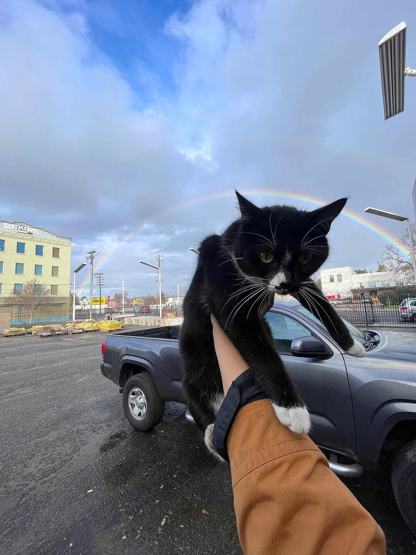 Botitas joined the competition — help win amazing prizes! cat, black_and_white_cat, person, arm, jacket, pickup_truck, vehicle, rainbow, cloudy_sky, urban, parking_lot, outdoor, street_lamp, building, fence, sidewalk, daytime, whiskers, paw, curious
