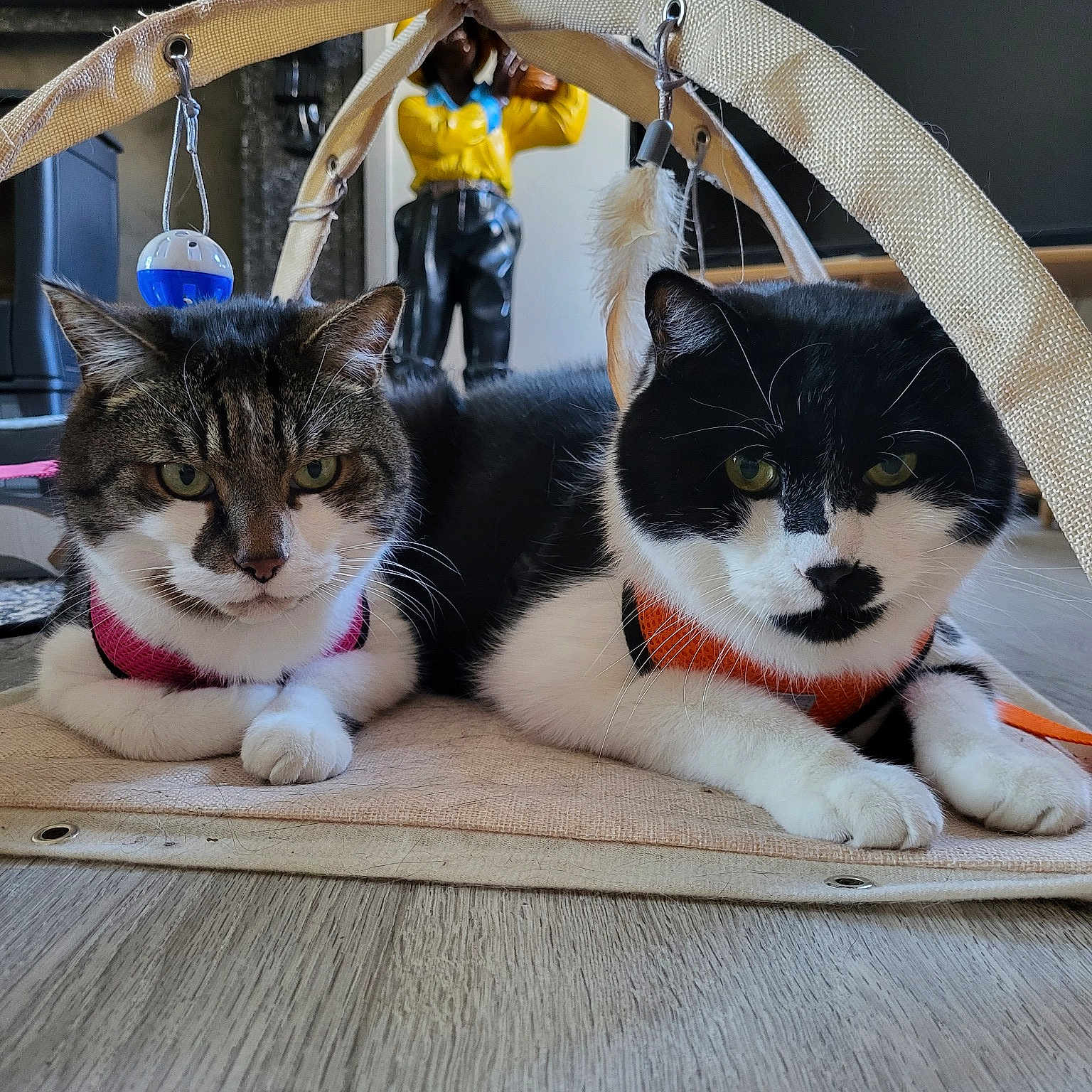 Nelson Et Gaston