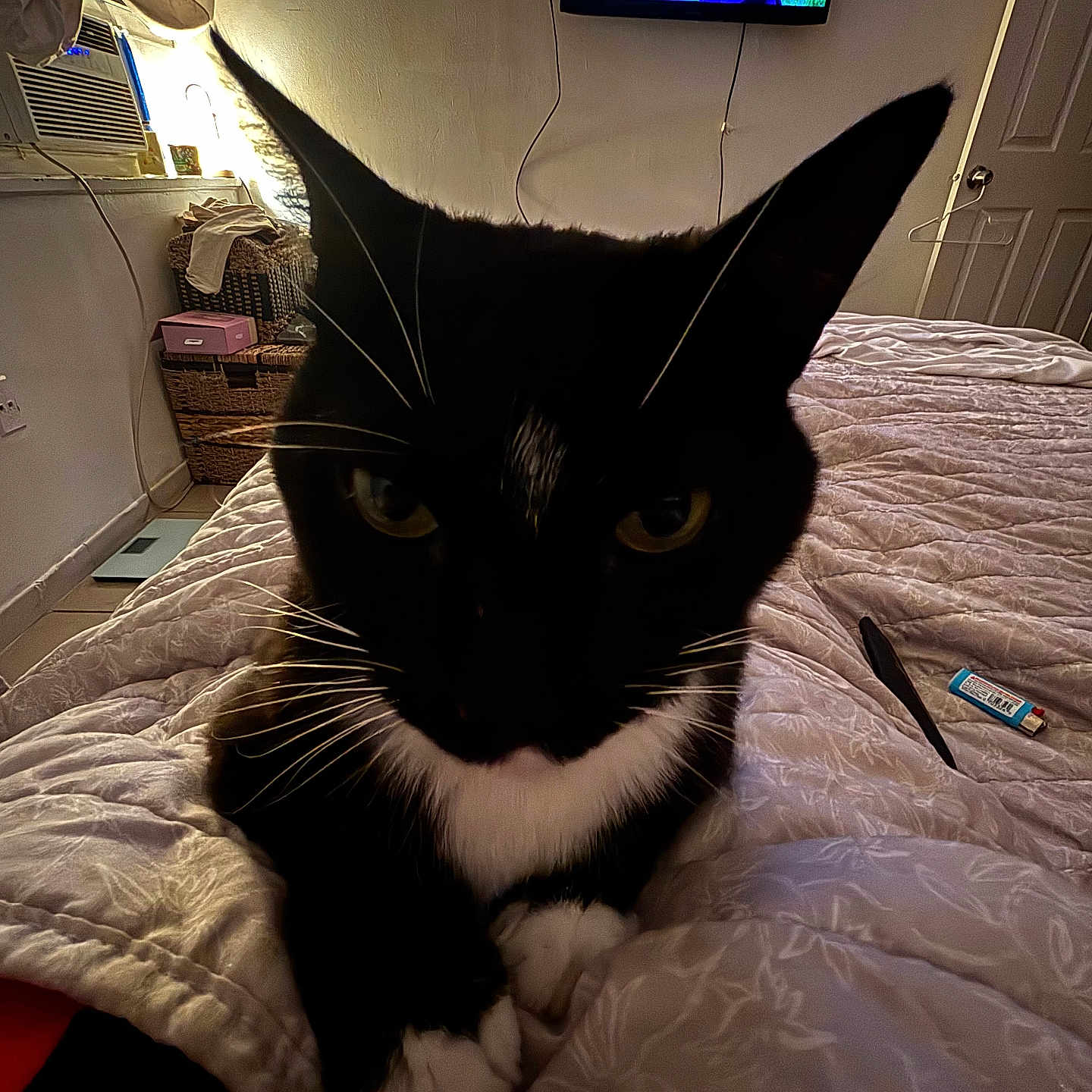 Luna