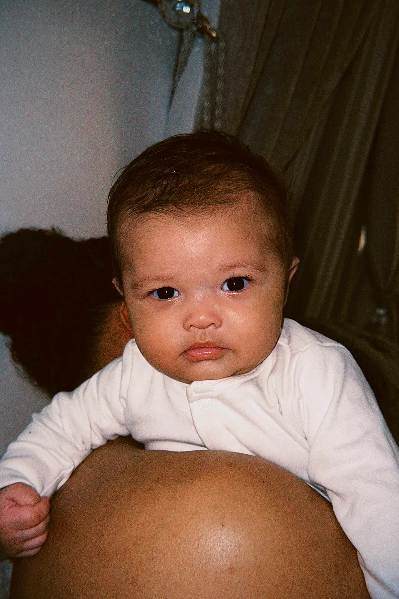 Rome joined the competition — help win amazing prizes! baby, infant, person, face, portrait, white_clothing, curtains, indoor, skin, human, child, looking_at_camera, holding_on, back, dark_hair, closeup, expression, young, cute, serious