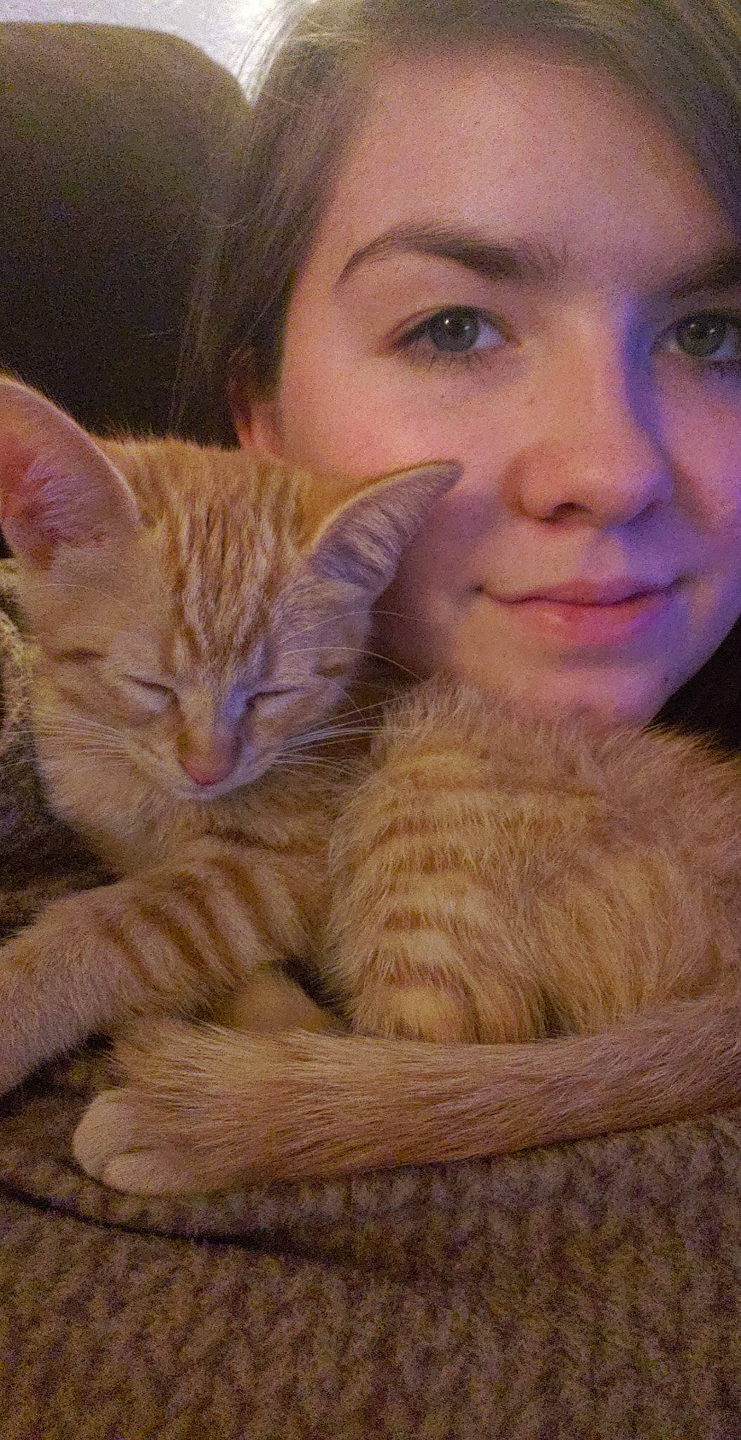 Conner is registered to the contest to win money with this photo: cat, cat_like_mammal, domestic_short_haired_cat, ear, eye, forehead, fur, girl, iris, joy, kitten, mammal, nap, nose, person, skin, small_to_medium_sized_cats, snout, tabby_cat, whiskers