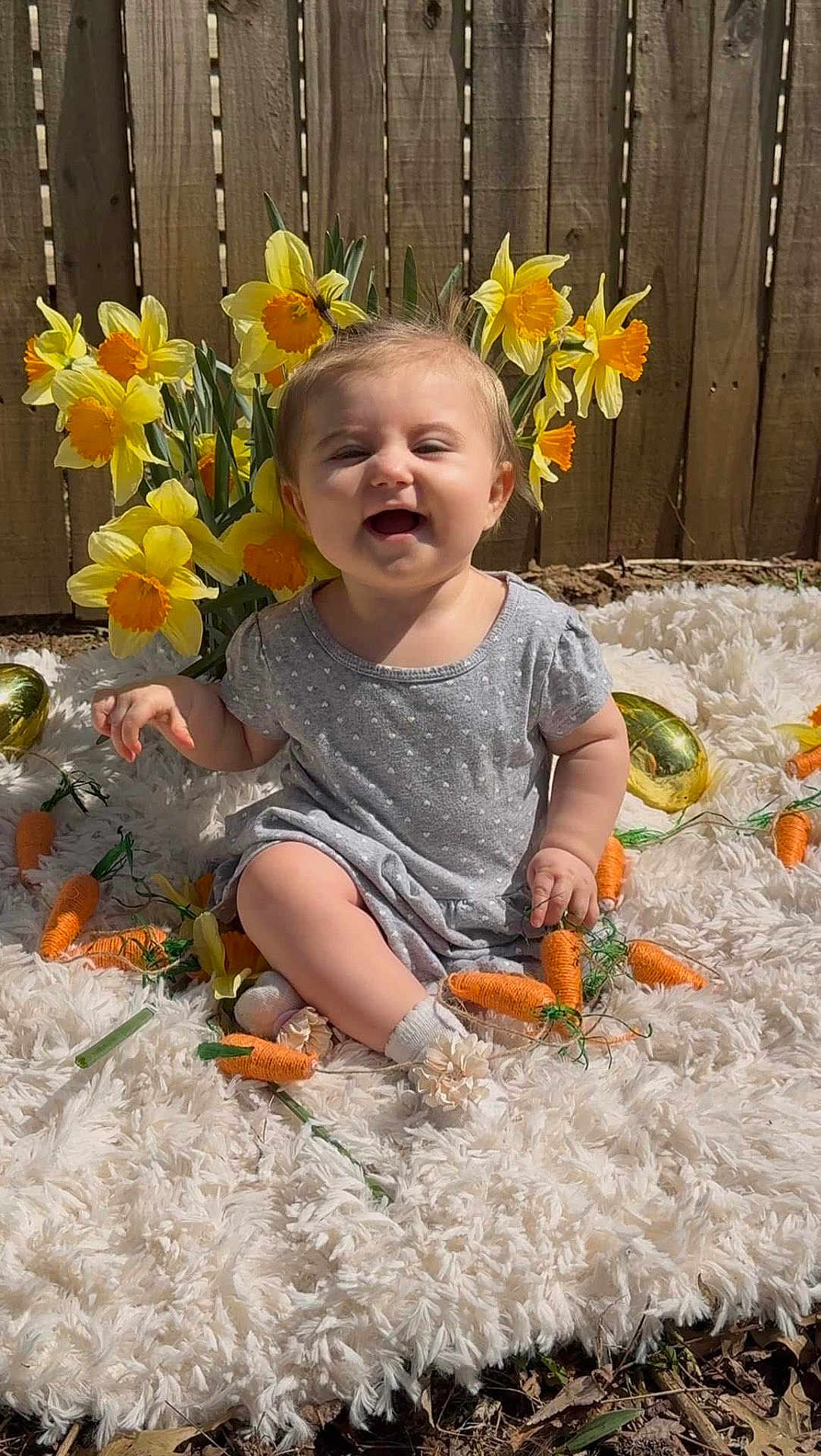 Madalynn is registered to the contest to win money with this photo: baby, child, smiling, outdoor, flower, daffodil, carrot, rug, grass, fence, sunlight, happy, nature, spring, cute, person, sitting, playful, decoration, garden