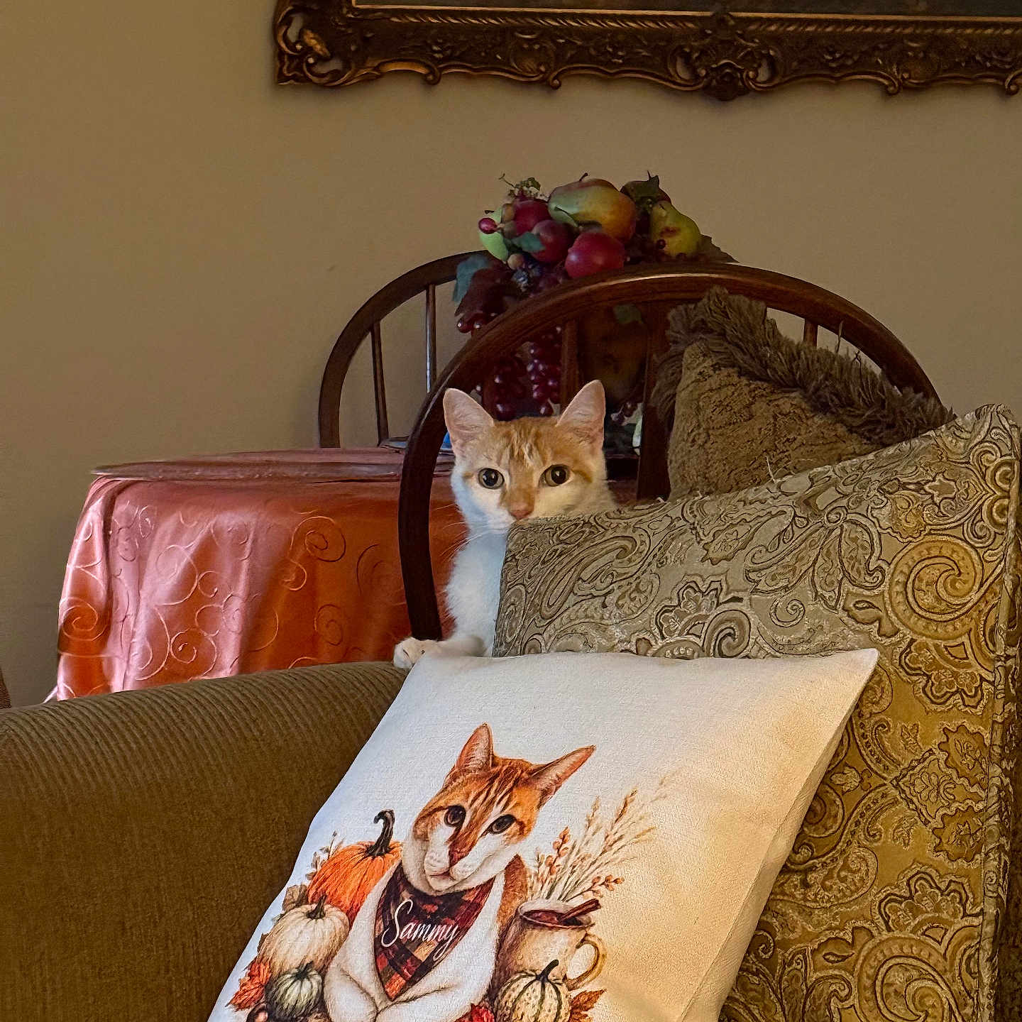 Sammy