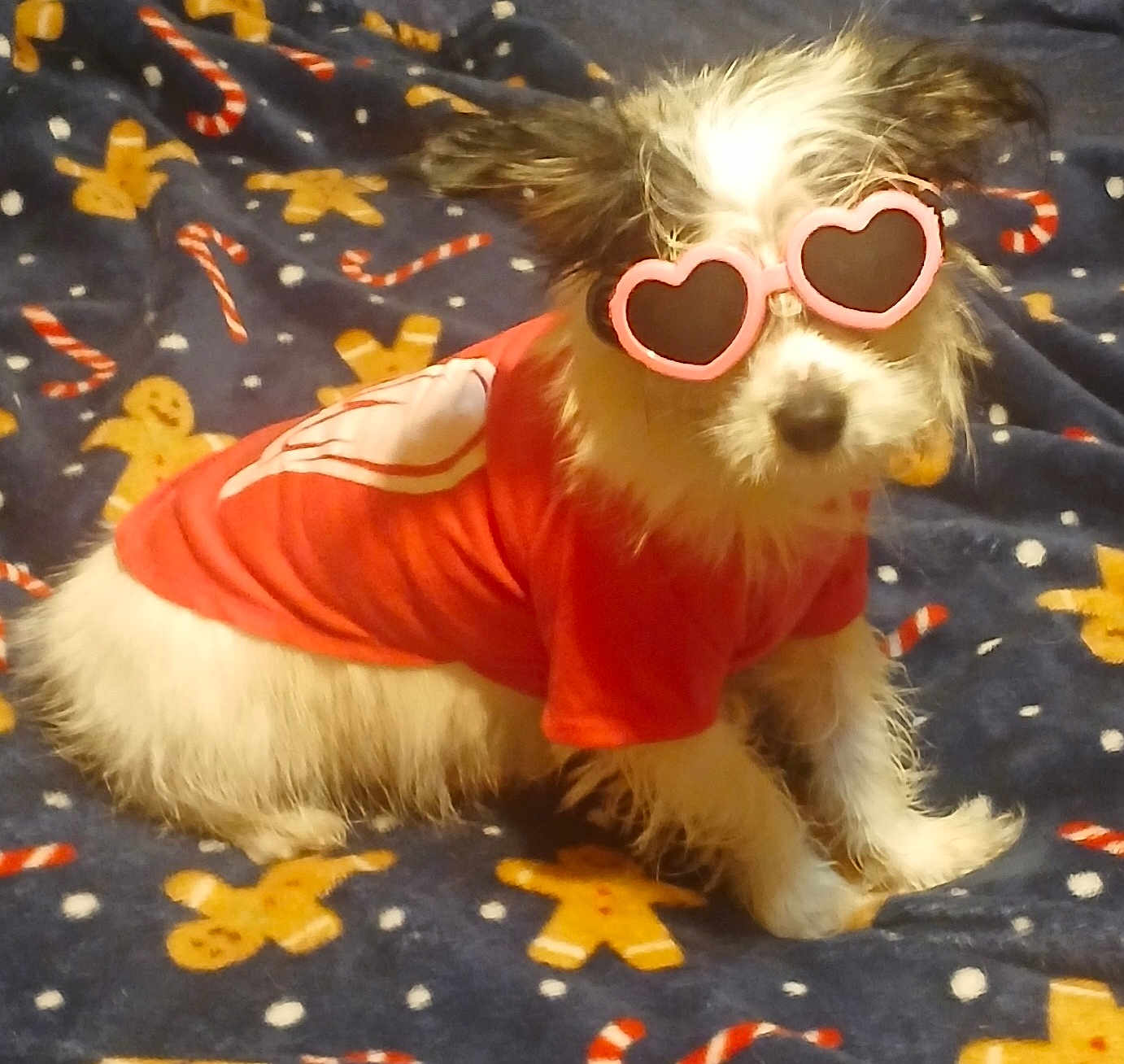 Lexie