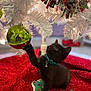 Lily is registered to the contest to win money with this photo: animal, black_cat, cat, christmas_ornament, christmas_tree, collar, curious, cute, decorations, festive, holiday, holiday_season, indoor, kitten, pet, playing, plush_toy, red_tree_skirt, reflection, white_tree