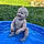 Ryker