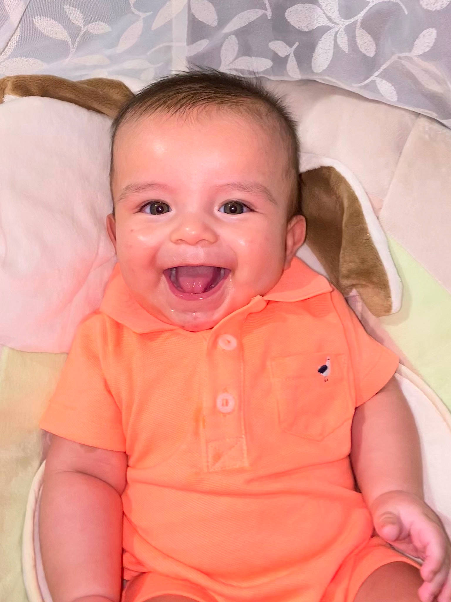 Francisco joined the competition — help win amazing prizes! baby, baby_making_funny_faces, baby_products, cheek, child, chin, eye, face, facial_expression, forehead, head, iris, lip, mouth, nose, person, pink, product, skin, smile