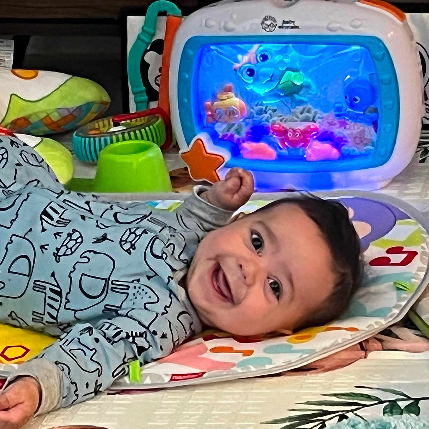 Dimitri is registered to the contest to win money with this photo: animal, aquarium, baby, clothing, cushion, face, fish, furniture, happy, head, homedecor, indoors, outdoors, person, photography, portrait, sealife, smile, t_shirt, water