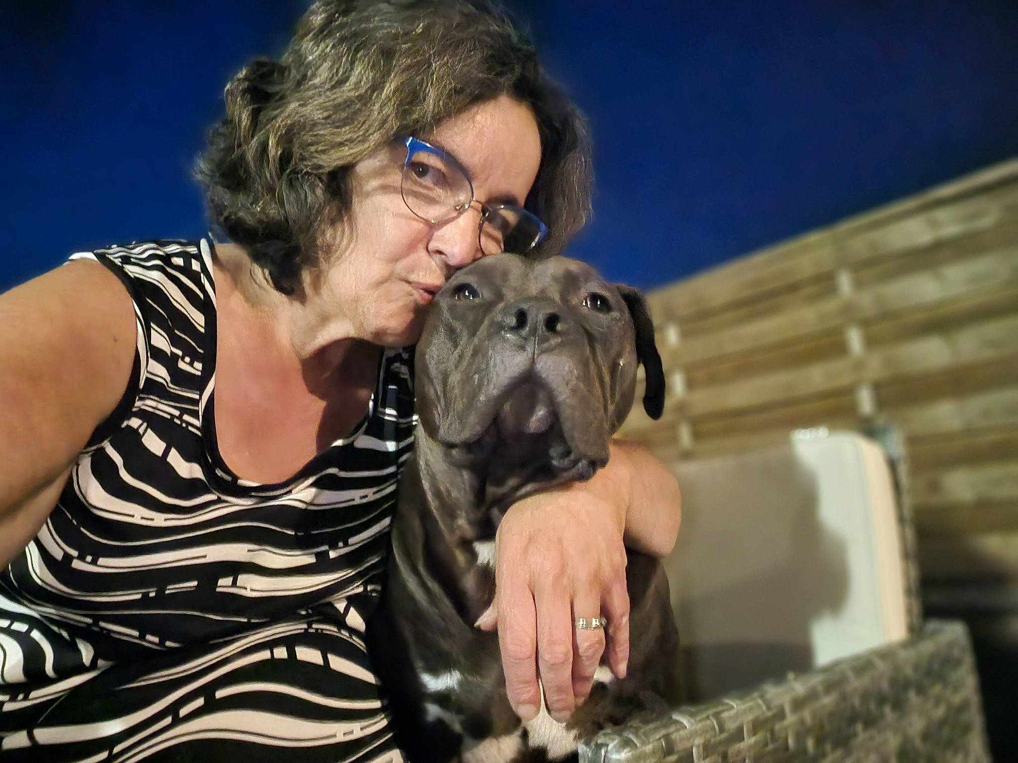 Tyron a rejoint le concours — aidez-le/la à gagner de superbes lots ! canidae, carnivore, companion_dog, dog, dog_breed, event, eyewear, fawn, flash_photography, fur, glasses, guard_dog, molosser, non_sporting_group, sitting, smile, snout, sporting_group, working_dog, wrinkle