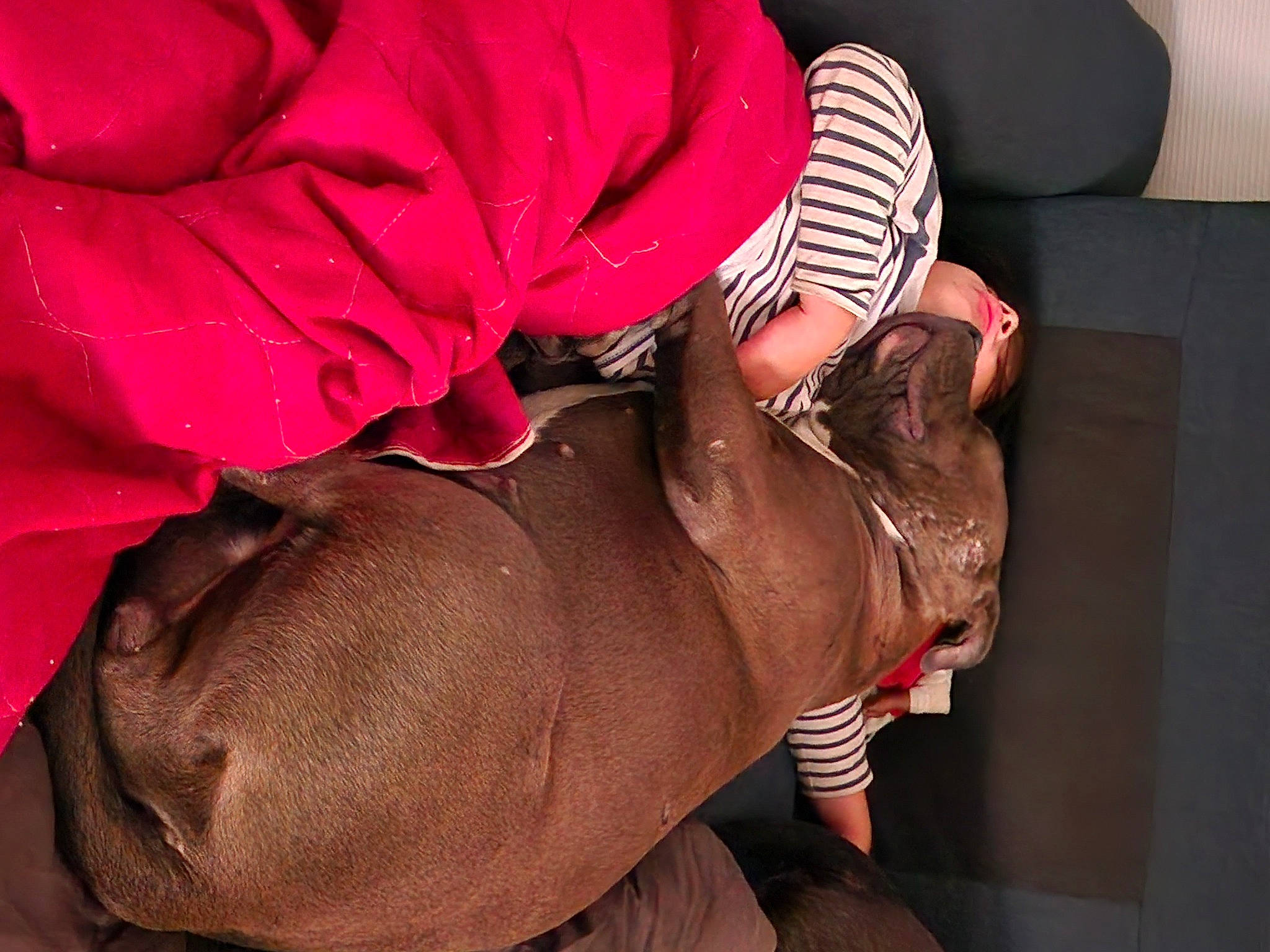 Tia a rejoint le concours — aidez-le/la à gagner de superbes lots ! abdomen, carmine, child, comfort, elbow, flesh, fur, human_body, human_leg, knee, magenta, petal, room, sitting, sleeve, sporting_group, thigh, tradition, wood, wrinkle