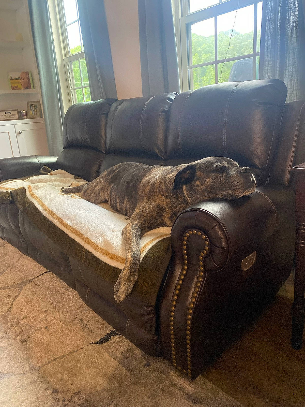 Diesel is registered to the contest to win money with this photo: armrest, brown, building, chair, comfort, couch, floor, flooring, furniture, hardwood, house, lamp, living_room, pillow, shade, sofa_bed, studio_couch, table, window, wood