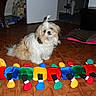 Izia participe au concours pour gagner de l'argent avec cette photo :