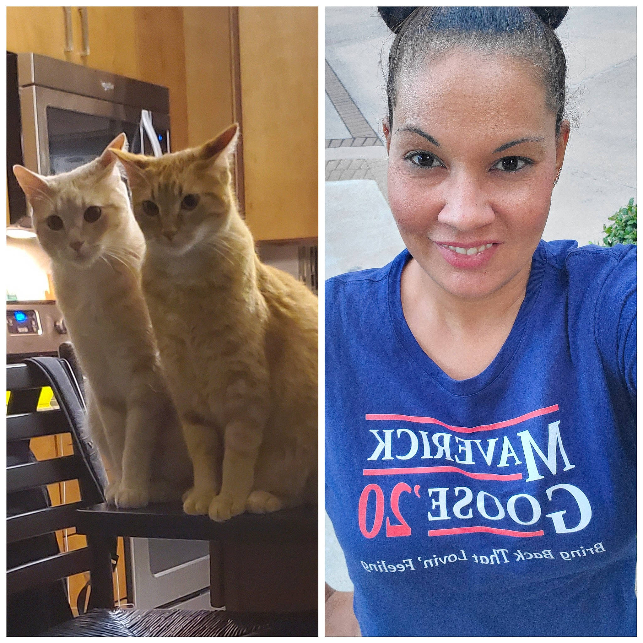 Maverick And Goose joined the competition — help win amazing prizes! asian, carnivore, cat, domestic_short_haired_cat, ear, european_shorthair, felidae, kitten, photo_caption, photography, selfie, small_to_medium_sized_cats, snapshot, square, whiskers