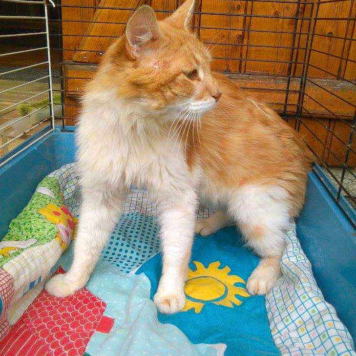 Azra?l is registered to the contest to win money with this photo: