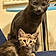 Nermal And Lulu