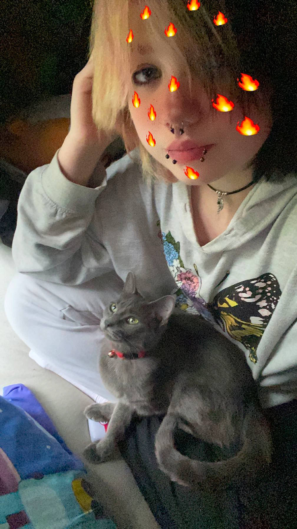 Kitkat joined the competition — help win amazing prizes! bangs, carnivore, cat, child, cool, doll, domestic_short_haired_cat, ear, eyelash, eyewear, felidae, fur, gesture, lap, organ, sitting, small_to_medium_sized_cats, snapshot, t_shirt, whiskers