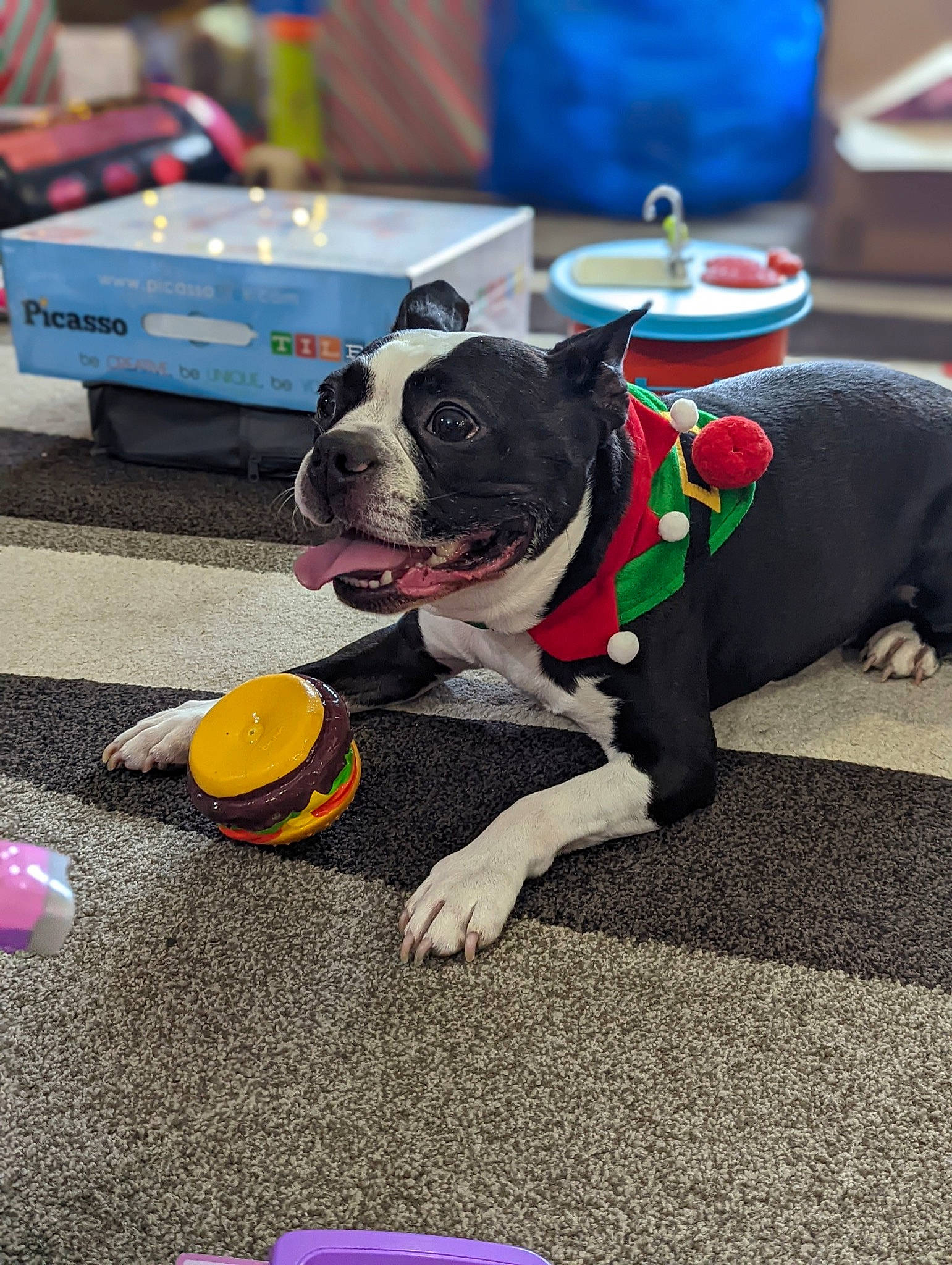 Remi joined the competition — help win amazing prizes! ball, carnivore, collar, companion_dog, dog, dog_breed, dog_collar, dog_supply, event, fawn, flooring, leisure, party_supply, personal_protective_equipment, recreation, snout, sporting_group, table, toy, yellow