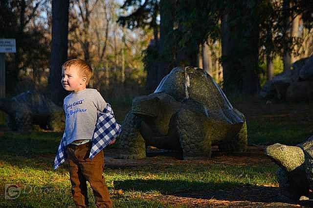 Anthony is registered to the contest to win money with this photo: child, forest, girl, grass, person, plant, recreation, toddler, tree, vertebrate