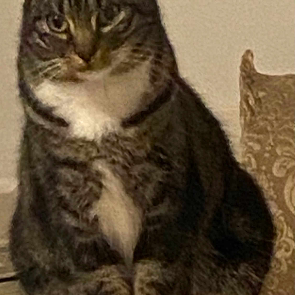 Minette