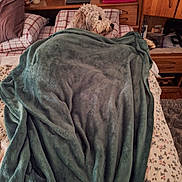 Reba joined the competition — help win amazing prizes! dog, blanket, bed, pillow, wooden_furniture, mirror, reflection, indoor, fluffy, cozy, resting, side_view, plaid_pattern, decor, room, carpet, soft_texture, napping, fur, peaceful