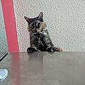 Jacky W.