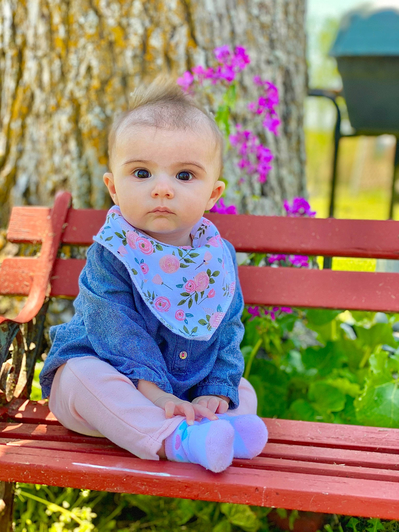 Mazey is registered to the contest to win money with this photo: baby, beauty, child, happy, person, pink, play, sitting, smile, spring, toddler