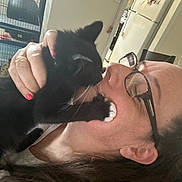 Mr. Beans joined the competition — help win amazing prizes! woman, cat, kitten, glasses, hand, nail_polish, indoor, smile, affection, pet, black_cat, white_paw, face, close_up, home, furniture, cage, refrigerator, tile_floor, love