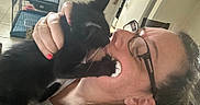 Mr. Beans joined the competition — help win amazing prizes! affection, black_cat, cage, cat, close_up, face, furniture, glasses, hand, home, indoor, kitten, love, nail_polish, pet, refrigerator, smile, tile_floor, white_paw, woman