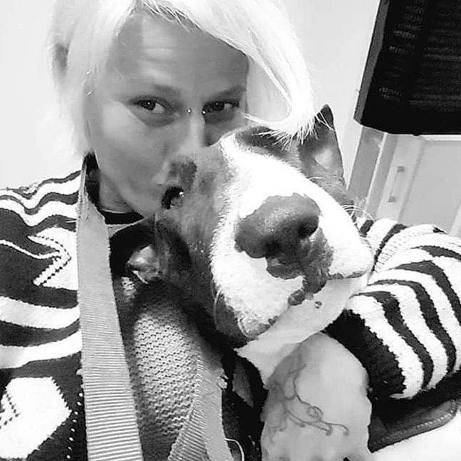 Dakota participe au concours pour gagner de l'argent avec cette photo : canidae, carnivore, companion_dog, dog, dog_breed, ear, non_sporting_group, nose, photography, puppy_love, snout