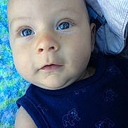 Sequoia is registered to the contest to win money with this photo: