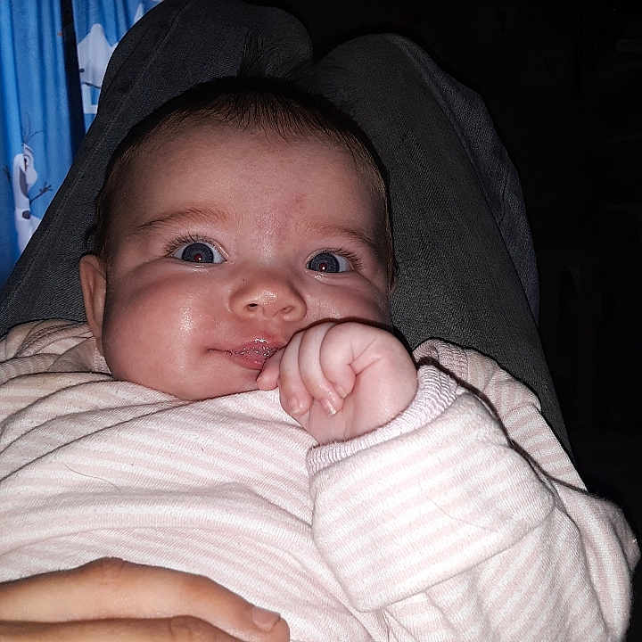 Sophia