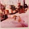 Layla joined the competition — help win amazing prizes! blurry, dog, vintage, indoor, plants, pottery, table, faded, old_photo, animal, pet, brown, fur, resting, blur, soft_focus, background, furniture, home, decor