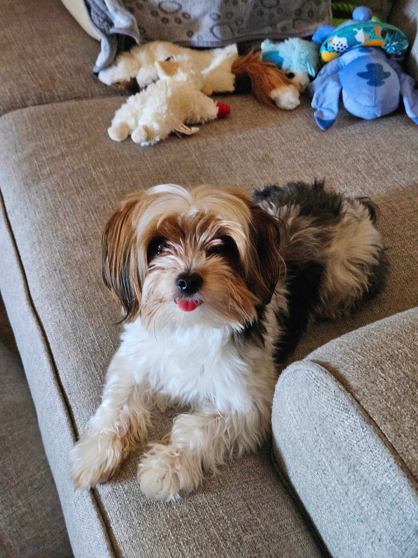 Max